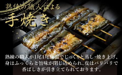 うなぎ 蒲焼き ( 特大 4尾 計1kg 250g×4尾 ) ご飯にかける専用タレ付き！ 冷凍 | うなぎ うなぎ うなぎ うなぎ うなぎ うなぎ 鰻 鰻 鰻 鰻 鰻