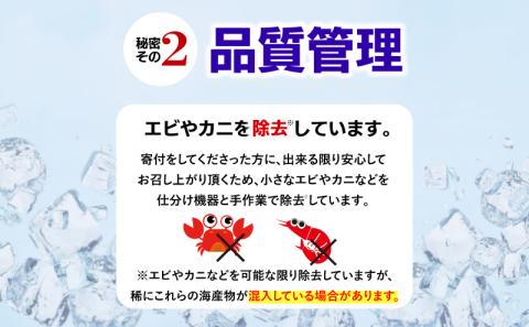ちりめん 1kg 冷蔵 国産 徳島県産 新鮮 鮮度 しらす 魚介類 小魚  ( 大人気ちりめん 人気ちりめん 絶品ちりめん 至高ちりめん 贅沢ちりめん 国産ちりめん)