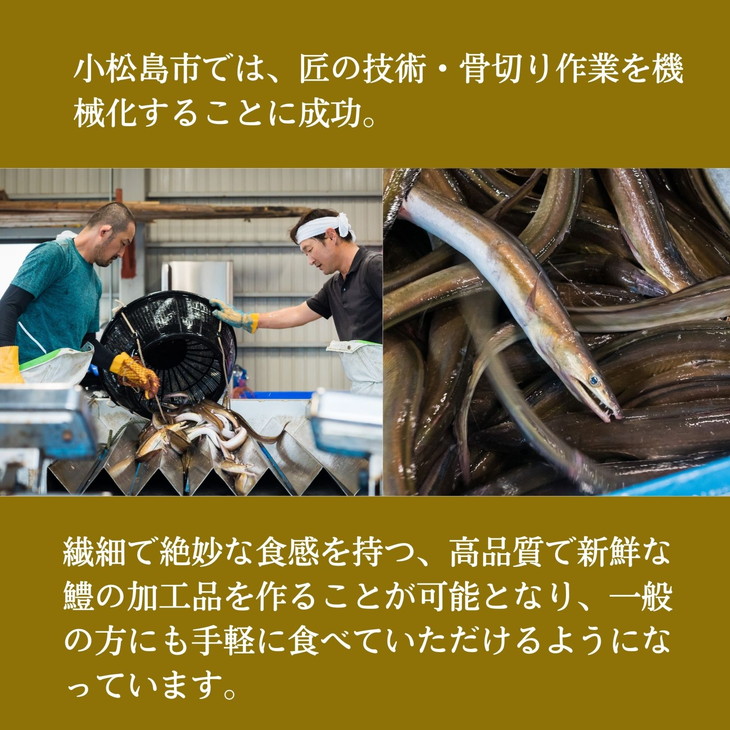 ハモ 鱧 しゃぶしゃぶ 500g 鍋セット 切り身 スープ付き 冷凍 【大人気ハモ鱧鍋 ハモ鍋 鱧料理 ハモ料理 冷凍鱧 冷凍ハモ 鱧しゃぶ ハモしゃぶ 肉厚鱧 肉厚ハモ】