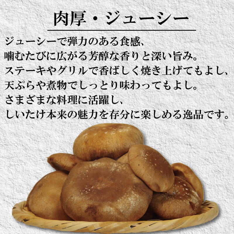 訳あり しいたけ 生 1.5kg 徳島県産 国産 きのこ 茸 菌床椎茸 菌床栽培 菌糸 椎茸 乾椎茸 生しいたけ 野菜 産地直送 乾物 ビタミンD 食物繊維 グアニル酸 低カロリー 健康 ダイエット 美容 出汁 鍋 煮物 味噌汁 うどん 徳島 小松島