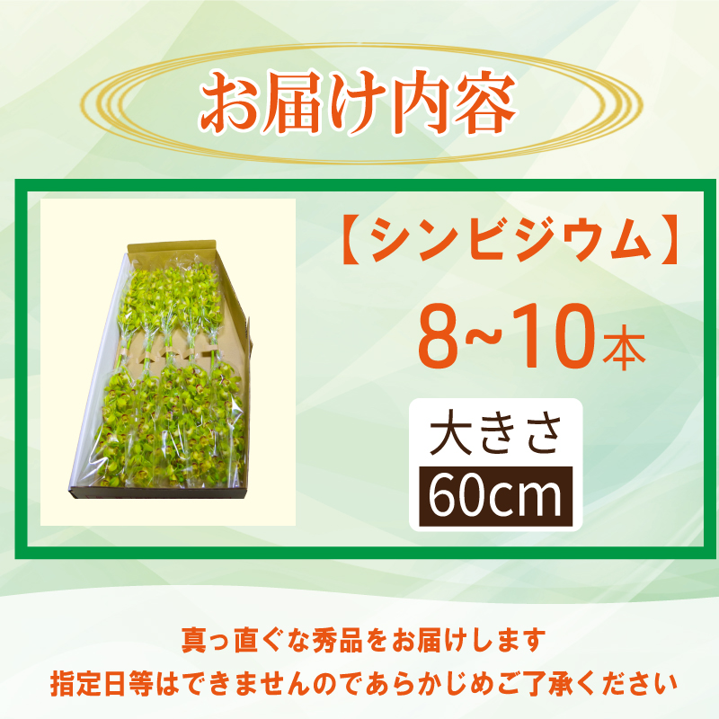 シンビジウム 8～10本 生花 お花 花 シンビジューム 秀品 白、黄色、ピンク