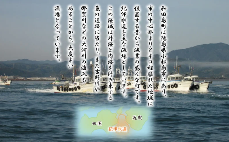 訳あり ちりめん 計 1kg 200g × 5袋 和田島産 しらす 産地直送 小分け パック 冷蔵 徳島県 じゃこ 干し 乾物 ご飯のお供(大人気ちりめん 人気ちりめん 絶品ちりめん 小分ちりめん）