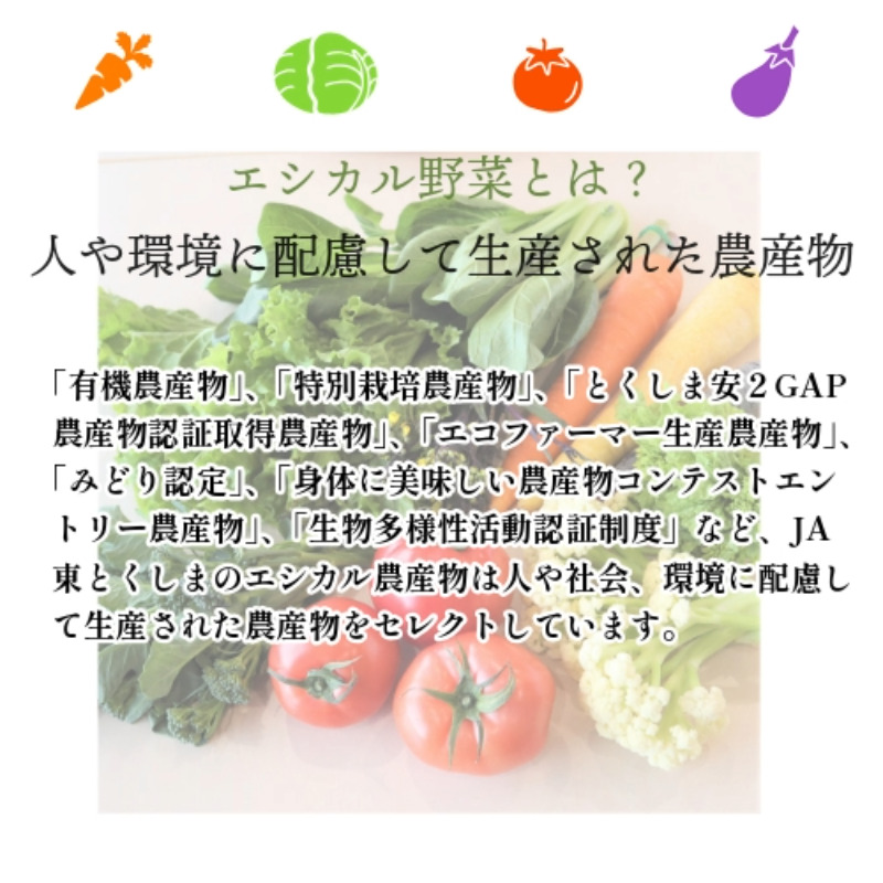 エシカル野菜5種とお米のセット 野菜 米 新鮮 採れたて 産地直送 やさい とうもろこし トマト 減農薬 きのこ オクラ 玉ねぎ 美味しい 小松島市