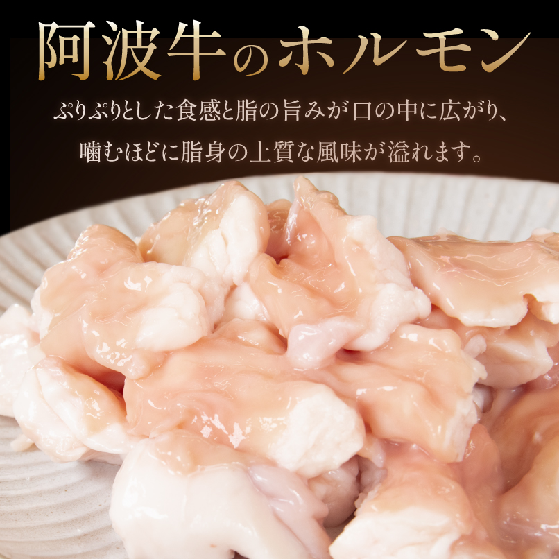 ホルモン 大腸 阿波牛 塩漬け 200g×3パック 小分け 計600g  国産 牛 黒毛和牛 鍋 焼肉 脂 焼き ホソ もつ 肉 牛肉 BBQ 【北海道・東北・沖縄・離島への配送不可】