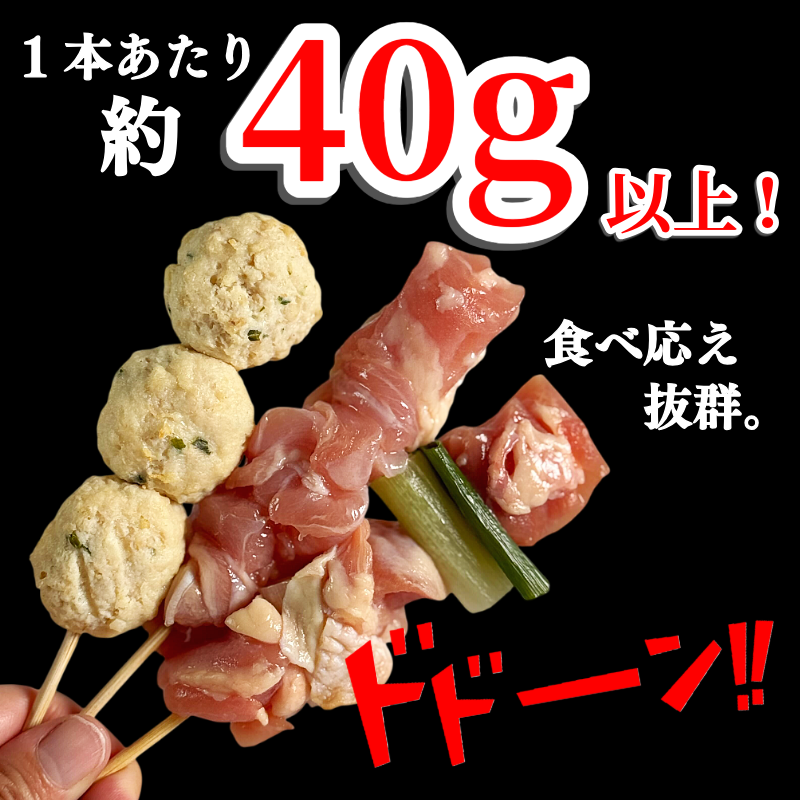 焼き鳥 セット 66本 鶏肉 国産 もも つくね ねぎま 鶏肉 やきとり 串焼 チキン もも肉 つくね おかず 塩焼き スパイス 照り焼き おつまみ ビール BBQ パーティー イベント 小分け 包装 冷凍 徳島 小松島 とり信