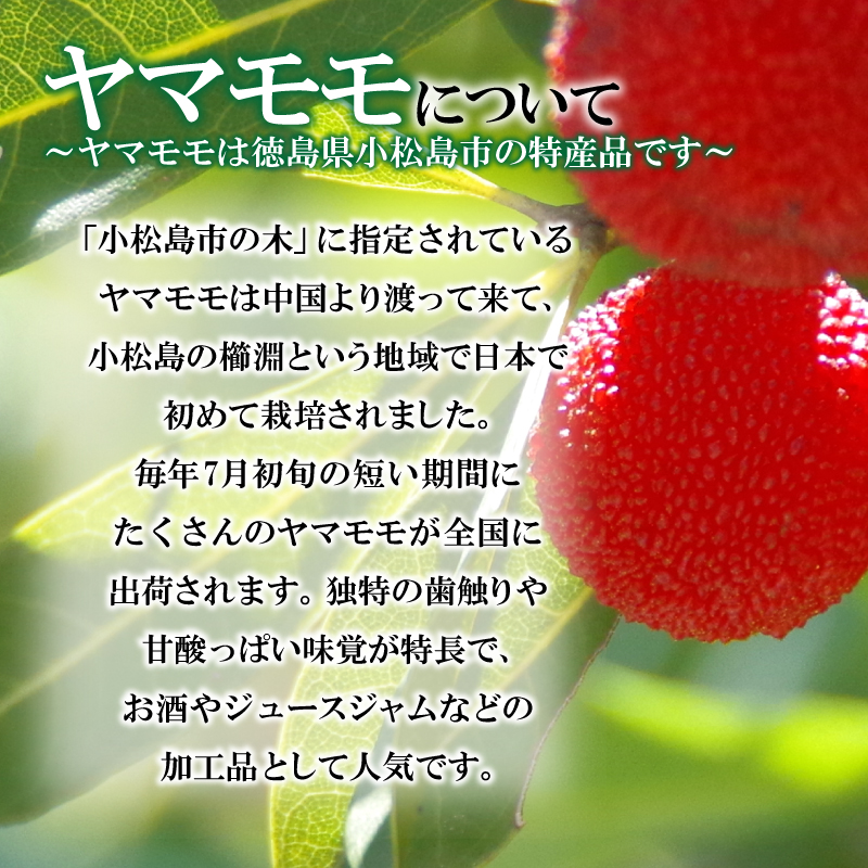 焼き菓子 やまもも パイ 12個入り 個包装 名菓 洋菓子 和菓子 ケーキ お中元 ギフト 贈答用 おすすめ 常温（大人気パイ 人気パイ 贈答用パイ 大人気洋菓子 【北海道・東北・沖縄・離島配送不可】