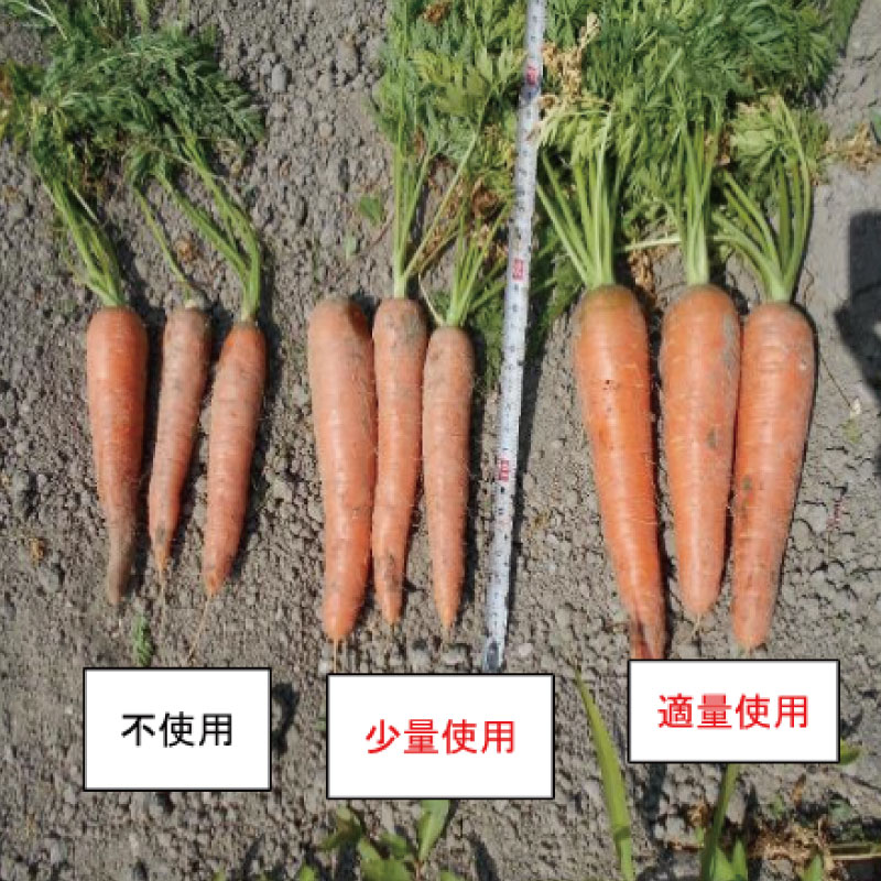 堆肥 30L (15kg) 肥料 たい肥 みみず ミミズ みみず太郎 100 有機 雑草 糞 無臭 観葉植物 ガーデニング お花 花 野菜 家庭菜園 畑 土 田んぼ 微生物資材 徳島県 小松島市