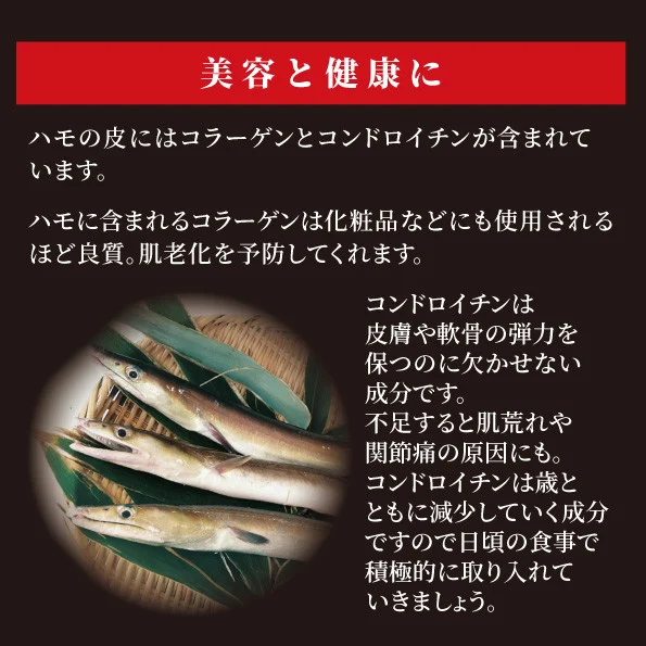 鱧 ハモ お鍋 セット 2?3人前 冷凍 国産 徳島県産 グルメ 魚介 海鮮 ※離島への配送不可(大人気鱧 人気鱧 大人気ハモ 人気ハモ 鱧切り身 ハモ切り身 冷凍ハモ 冷凍鱧)