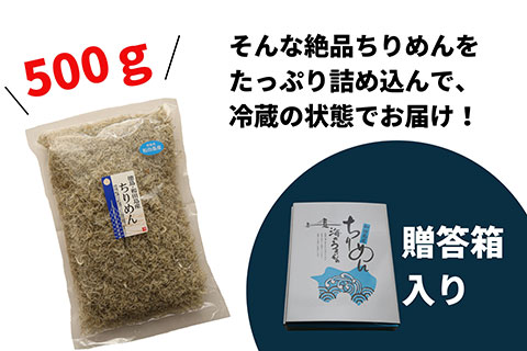 ちりめん 和田島ちりめん【秀】500g しらす ちりめんじゃこ 小分け 冷蔵 【大人気ちりめん 人気ちりめん 徳島県ちりめん 徳島ちりめん 小分けちりめん おつまみちりめん 冷蔵ちりめん】