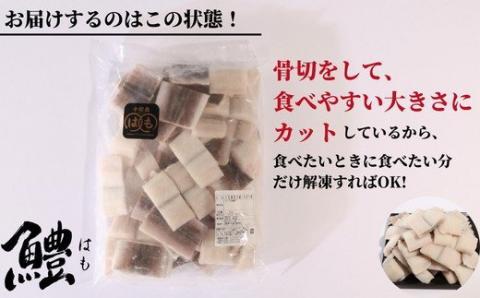 ハモ 鱧 切り身 1kg 骨切り カット済 冷凍 【鱧切り身 ハモ切り身 鱧天ぷら ハモ天ぷら ハモ鍋 鱧料理 ハモ料理 鱧しゃぶ ハモしゃぶ 冷凍ハモ 冷凍鱧】※北海道･沖縄･離島 配送不可