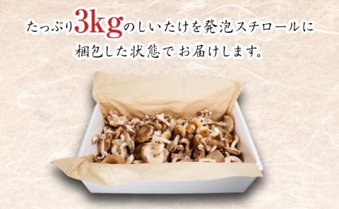 訳あり しいたけ 3kg 冷蔵 国産 徳島県 椎茸 しいたけ きのこ 家庭用 ( 大人気しいたけ 人気しいたけ 絶品しいたけ 至高しいたけ 国産しいたけ 徳島県産しいたけ 徳島県しいたけ )