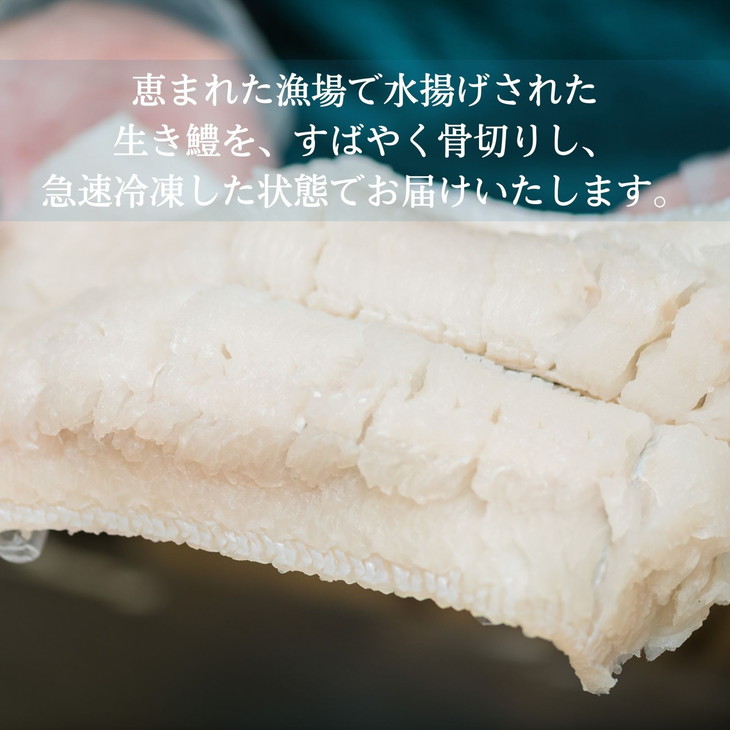 ハモ 鱧 しゃぶしゃぶ 500g 鍋セット 切り身 スープ付き 冷凍 【大人気ハモ鱧鍋 ハモ鍋 鱧料理 ハモ料理 冷凍鱧 冷凍ハモ 鱧しゃぶ ハモしゃぶ 肉厚鱧 肉厚ハモ】
