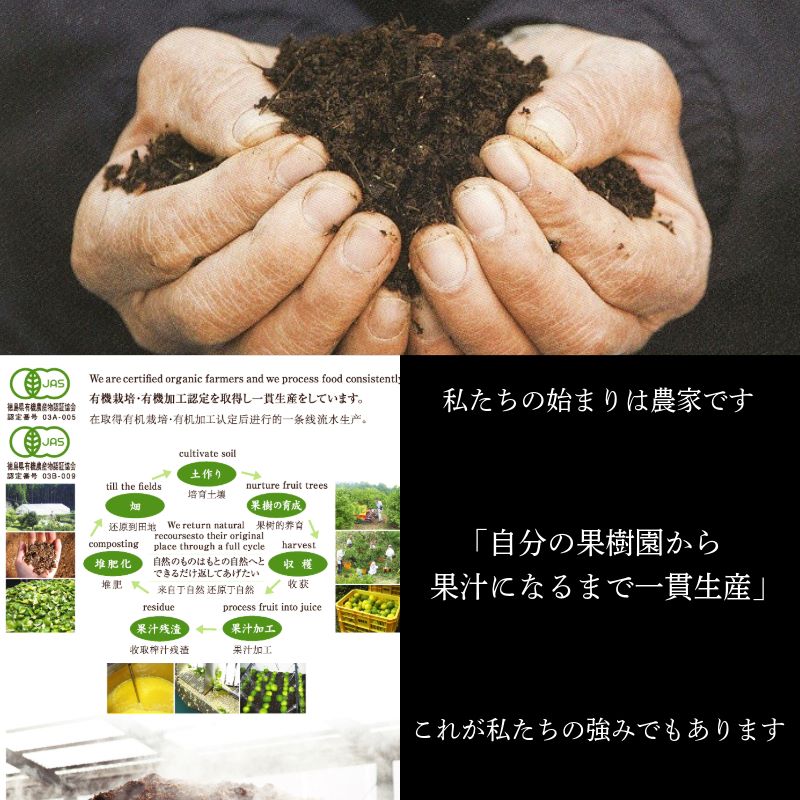 飲むゼリー　5本セット（4種₊1本）ゆず まっちゃ ゼリー 飲むゼリー 夏 ギフト お中元 爽やか さっぱり デザート 柑橘