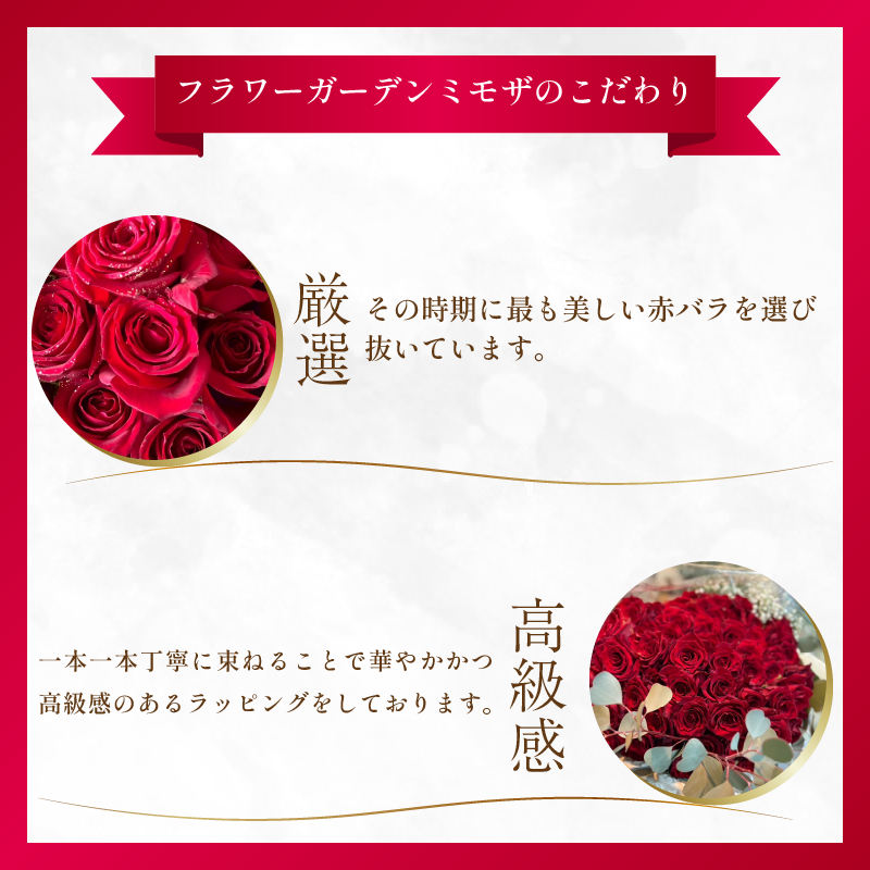 生花 赤バラ の 花束 12本  バラ 薔薇 花束  ローズ フラワー ブーケ プレゼント 贈り物 ギフト 生け花 雑貨 インテリア 人気 記念日 誕生日 フラワーガーデンミモザ  徳島県 小松島