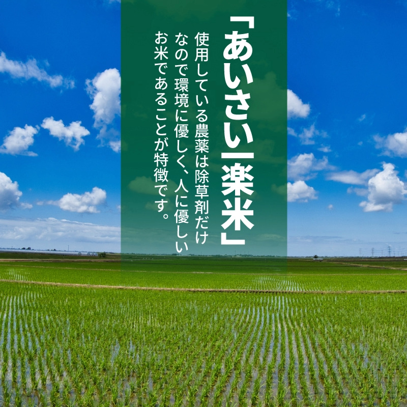 エシカル野菜5種とお米のセット 野菜 米 新鮮 採れたて 産地直送 やさい とうもろこし トマト 減農薬 きのこ オクラ 玉ねぎ 美味しい 小松島市