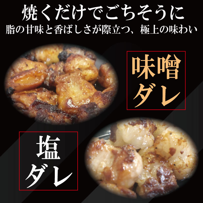 ホルモン 小腸 阿波牛 味噌漬け 200g×3パック 小分け 計600g  国産 牛 黒毛和牛 鍋 焼肉 脂 焼き ホソ もつ 肉 牛肉 BBQ 【北海道・東北・沖縄・離島への配送不可】