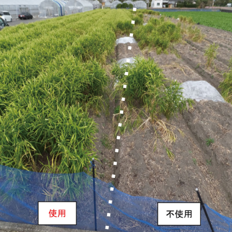 堆肥 5L (2.5kg) 肥料 たい肥 みみず ミミズ みみず太郎 100 有機 雑草 糞 無臭 観葉植物 ガーデニング お花 花 野菜 家庭菜園 畑 土 田んぼ 微生物資材 徳島県 小松島市