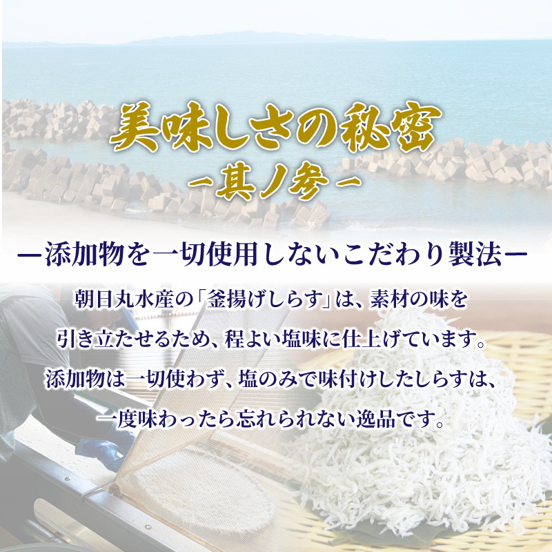 しらす 釜揚げ 定期便 計600g 200g ×3回 先行予約 ちりめんじゃこ じゃこ しらす ちりめん 小魚 魚 海鮮 魚介類 魚貝 シーフード いわし 鰯 おかず おつまみ 惣菜 弁当 ご飯 のお供 ごはん 酒の肴 のお供 小分け 冷蔵 新鮮 海鮮 お取り寄せ グルメ ギフト プレゼント 贈答 人気 おすすめ 徳島県 小松島市 和田島産