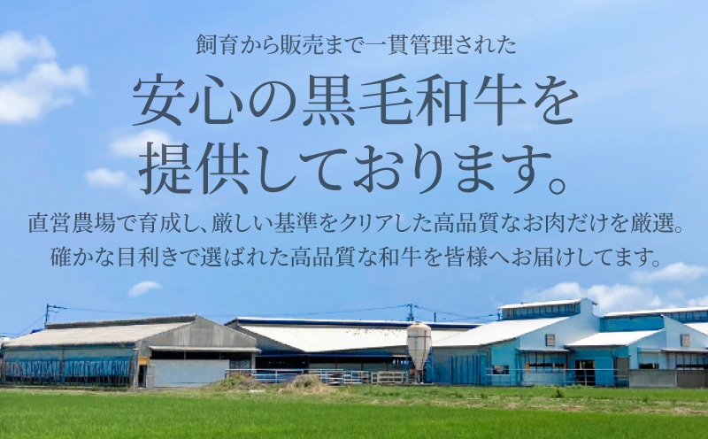 国産 黒毛和牛 阿波牛 すき焼き 肉 500g 牛肉 赤身 すき焼き イチボ ランプ 内 モモ シンタマ 赤身肉 A4 A5 等級 しゃぶしゃぶ すき焼き 鍋 料理