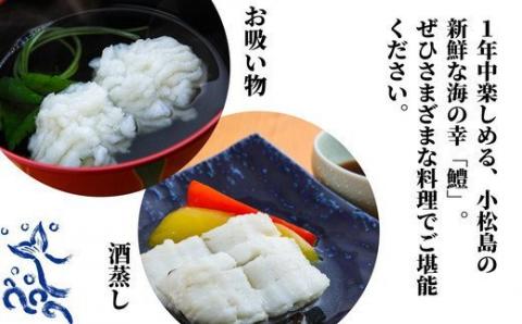 ハモ 鱧 切り身 1kg 骨切り カット済 冷凍 【鱧切り身 ハモ切り身 鱧天ぷら ハモ天ぷら ハモ鍋 鱧料理 ハモ料理 鱧しゃぶ ハモしゃぶ 冷凍ハモ 冷凍鱧】※北海道･沖縄･離島 配送不可