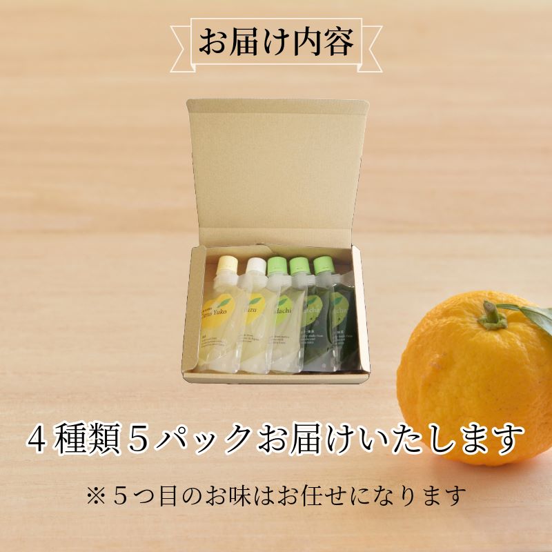 飲むゼリー　5本セット（4種₊1本）ゆず まっちゃ ゼリー 飲むゼリー 夏 ギフト お中元 爽やか さっぱり デザート 柑橘
