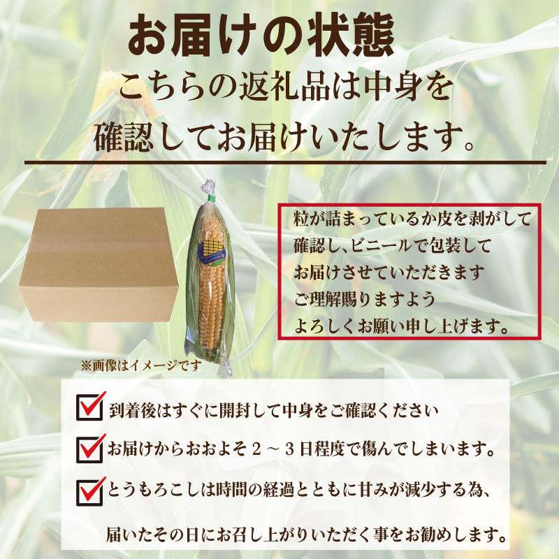 【先行予約】 とうもろこし 甘い スイートコーン みらい 2kg 以上 来年度先行予約 【2026年5月頃~6月頃出荷】朝採れ 高糖度 夏野菜 新鮮 農家 直送