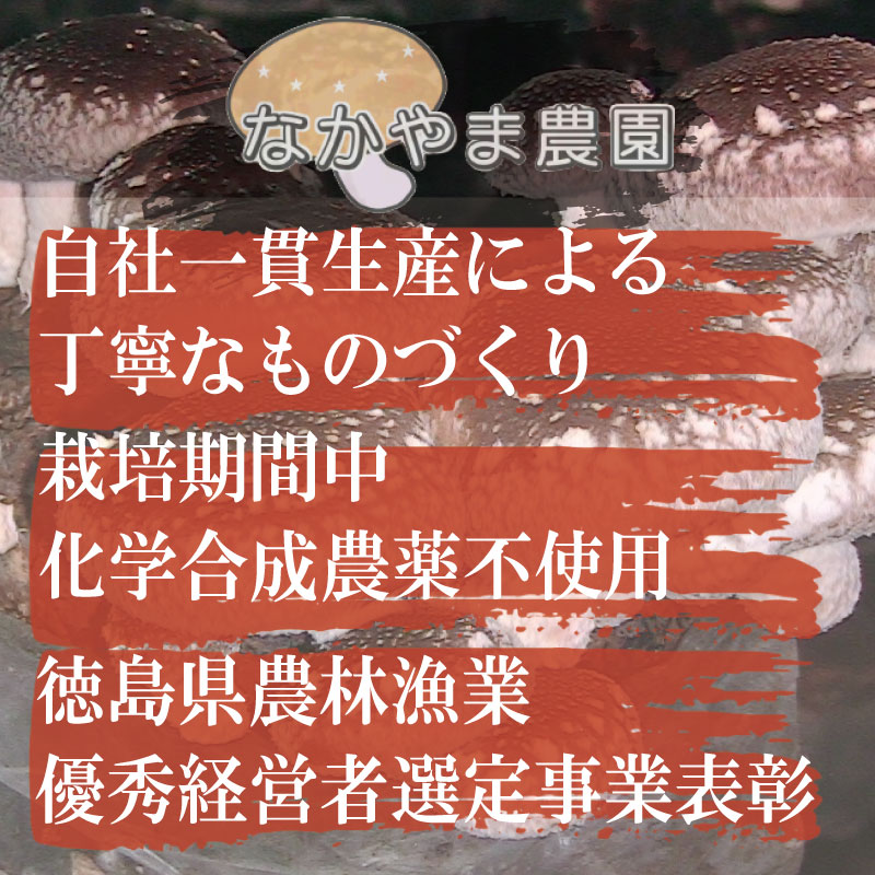 乾燥しいたけ スライス 500g 徳島県産 国産 きのこ 茸 菌床椎茸 菌床栽培 菌糸 椎茸 乾椎茸 乾しいたけ 干し椎茸 干ししいたけ 野菜 産地直送 乾物 ビタミンD 食物繊維 グアニル酸 低カロリー 健康 ダイエット 美容 出汁 鍋 煮物 味噌汁 うどん 徳島 小松島