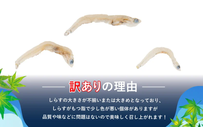 訳あり ちりめん 計 1kg 200g × 5袋 和田島産 しらす 産地直送 小分け パック 冷蔵 徳島県 じゃこ 干し 乾物 ご飯のお供(大人気ちりめん 人気ちりめん 絶品ちりめん 小分ちりめん）