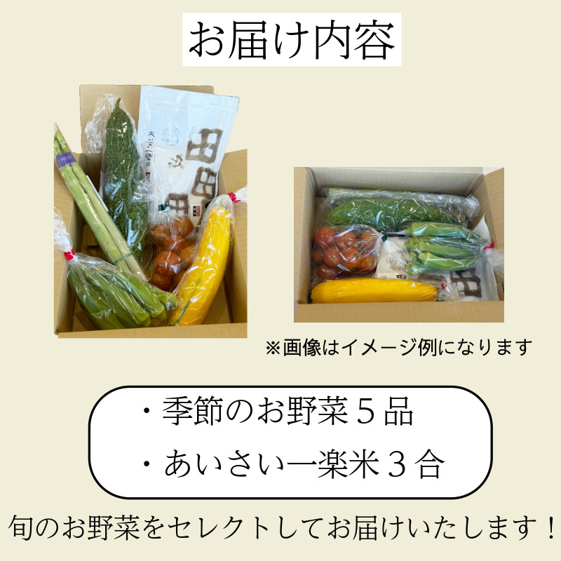 エシカル野菜5種とお米のセット 野菜 米 新鮮 採れたて 産地直送 やさい とうもろこし トマト 減農薬 きのこ オクラ 玉ねぎ 美味しい 小松島市