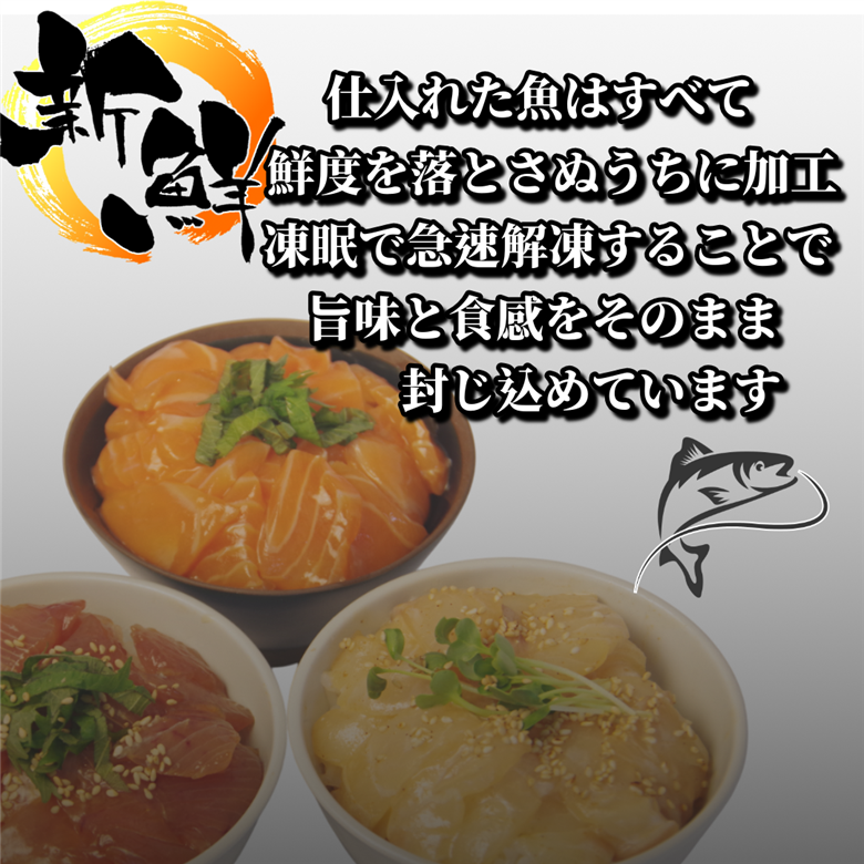 漬け丼 3種 海鮮丼 漬け丼セット まぐろ 鯛 サーモン 海鮮丼セット 6パック 小分け パック ご飯 漬け マグロ 鮪 たい