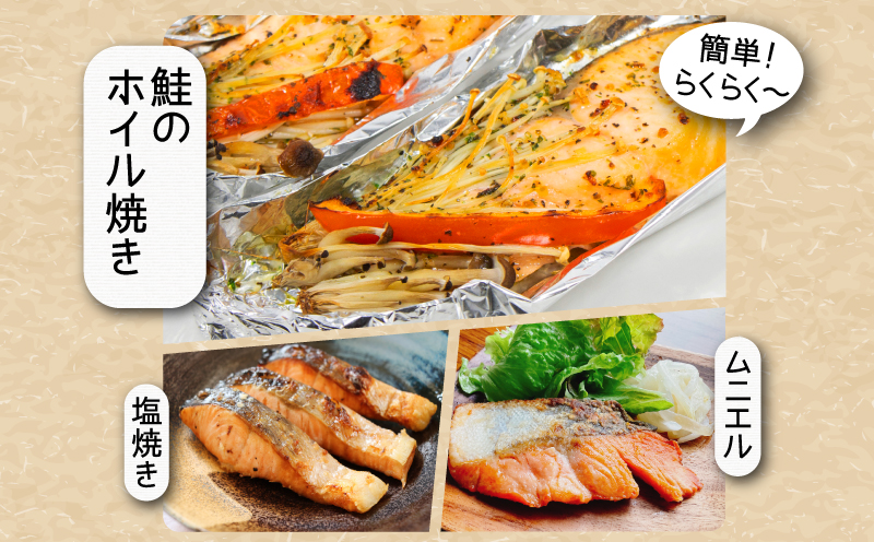 訳あり 鮭 定期便 12回 (2kg × 12回 24kg) さけ サケ 銀鮭 切り身 切身 サイズ 不揃い サーモン ごはん のお供 おつまみ 酒の肴 魚 魚介 小魚 海鮮 海産物 おかず お米 シャケ 塩銀鮭 塩さけ 塩サケ グルメ 訳アリ 家庭用 弁当 食品 新鮮 冷凍  徳島県