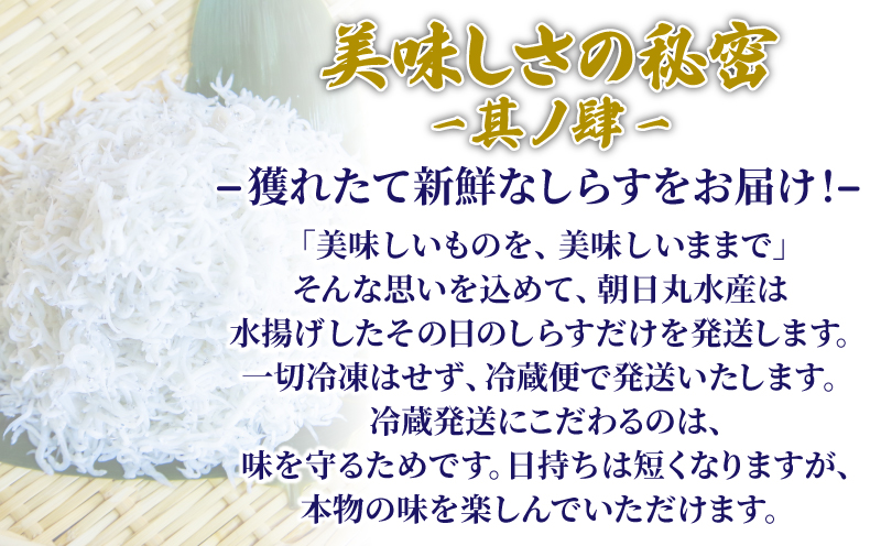 釜揚げ しらす 1kg 250g 4袋 冷蔵 国産 徳島県産  小分け しらす ちりめん 魚介類 【北海道･東北・沖縄･離島への配送不可】（ 大人気しらす 人気しらす 絶品しらす 至高しらす 国産しらす 徳島県産しらす しらす）