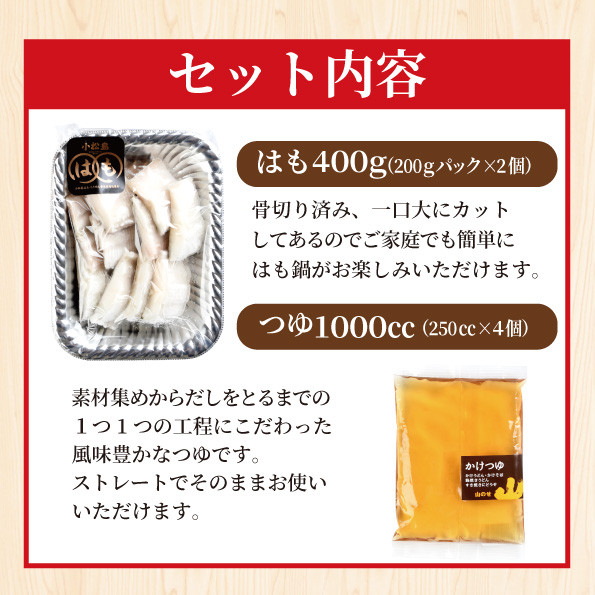 鱧 ハモ お鍋 セット 2?3人前 冷凍 国産 徳島県産 グルメ 魚介 海鮮 ※離島への配送不可(大人気鱧 人気鱧 大人気ハモ 人気ハモ 鱧切り身 ハモ切り身 冷凍ハモ 冷凍鱧)