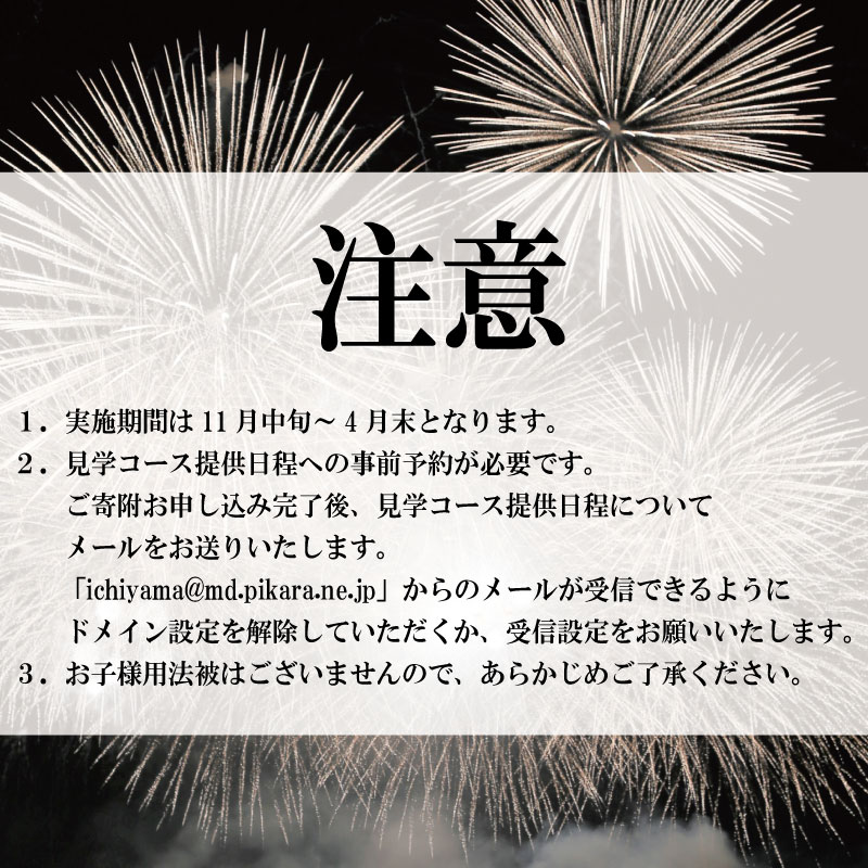 花火 工場見学 プライベート花火 セットコース 75発 イベント 夏祭り まつり 夏休み 家族 川 BBQ バーベキュー ファミリー プロポーズ 結婚記念日 恋人 思い出 慶事 お祝いごと 誕生日 バースデー 入学祝い 卒業祝い 還暦祝い 出産祝い 結婚式 法被 はっぴ 花火大会 打上花火 限定 お土産 星 三尺玉 火薬 芸術 秘伝 新技術 伝統 日本 阿波花火 阿波踊り 徳島 小松島