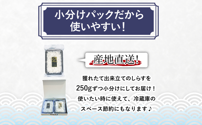 釜揚げ しらす 500g 250g 2袋 冷蔵 国産 徳島県産  小分け しらす ちりめん 魚介類 【北海道･東北・沖縄･離島への配送不可】（ 大人気しらす 人気しらす 絶品しらす 至高しらす 国産しらす 徳島県産しらす しらす ）