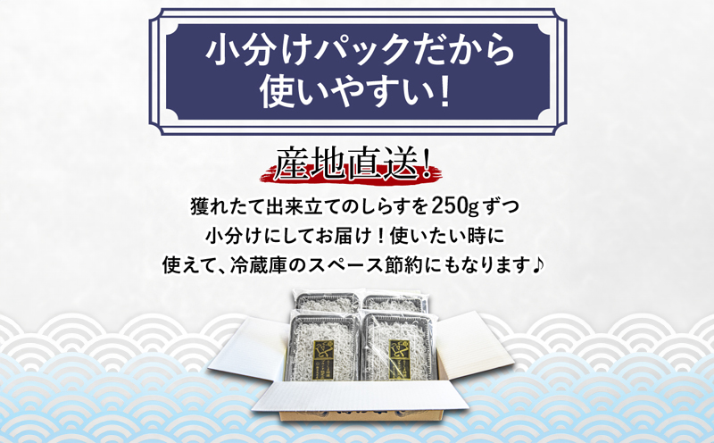 釜揚げ しらす 1kg 250g 4袋 冷蔵 国産 徳島県産  小分け しらす ちりめん 魚介類 【北海道･東北・沖縄･離島への配送不可】（ 大人気しらす 人気しらす 絶品しらす 至高しらす 国産しらす 徳島県産しらす しらす）