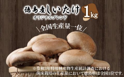 しいたけ 1kg 冷蔵 国産 徳島県 椎茸 きのこ 家庭用 おかず ( 大人気しいたけ 人気しいたけ 絶品しいたけ 至高しいたけ 国産しいたけ 徳島県産しいたけ 徳島県しいたけ しいたけ )