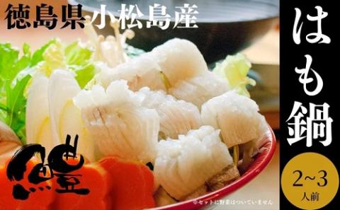 鱧 ハモ お鍋 セット 2?3人前 冷凍 国産 徳島県産 グルメ 魚介 海鮮 ※離島への配送不可(大人気鱧 人気鱧 大人気ハモ 人気ハモ 鱧切り身 ハモ切り身 冷凍ハモ 冷凍鱧)