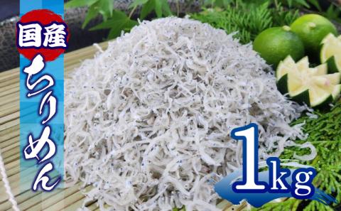 ちりめん 1kg 冷蔵 国産 徳島県産 新鮮 鮮度 しらす 魚介類 小魚  ( 大人気ちりめん 人気ちりめん 絶品ちりめん 至高ちりめん 贅沢ちりめん 国産ちりめん)