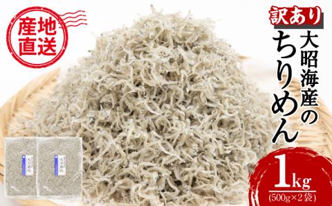 訳あり ちりめん 1kg しらす干し 産地直送 冷蔵 ちりめんじゃこ 魚介 乾物 (大人気ちりめん 人気ちりめん ちりめん 小分けちりめん おつまみちりめん  おかずちりめん 冷蔵ちりめん)