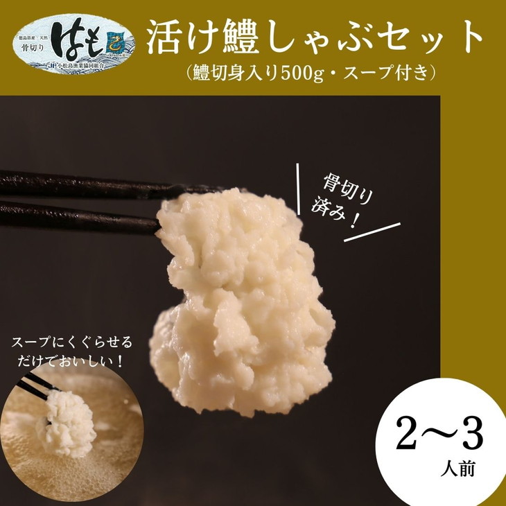 ハモ 鱧 しゃぶしゃぶ 500g 鍋セット 切り身 スープ付き 冷凍 【大人気ハモ鱧鍋 ハモ鍋 鱧料理 ハモ料理 冷凍鱧 冷凍ハモ 鱧しゃぶ ハモしゃぶ  肉厚鱧 肉厚ハモ】: 小松島市ANAのふるさと納税