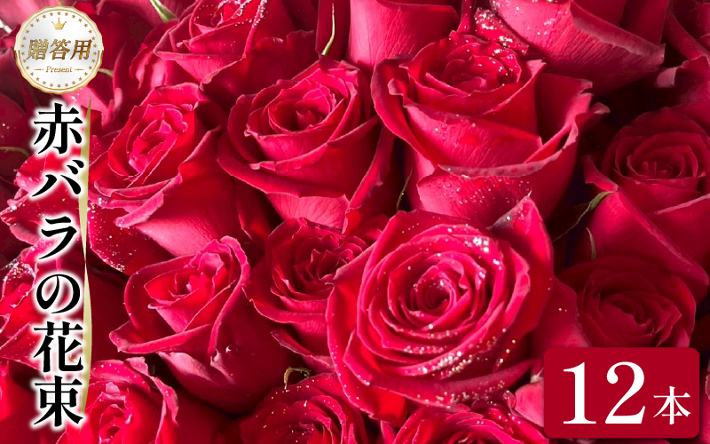 生花 赤バラ の 花束 12本  バラ 薔薇 花束  ローズ フラワー ブーケ プレゼント 贈り物 ギフト 生け花 雑貨 インテリア 人気 記念日 誕生日 フラワーガーデンミモザ  徳島県 小松島