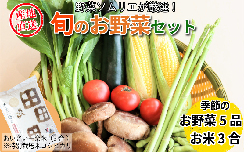 エシカル野菜5種とお米のセット 野菜 米 新鮮 採れたて 産地直送 やさい とうもろこし トマト 減農薬 きのこ オクラ 玉ねぎ 美味しい 小松島市