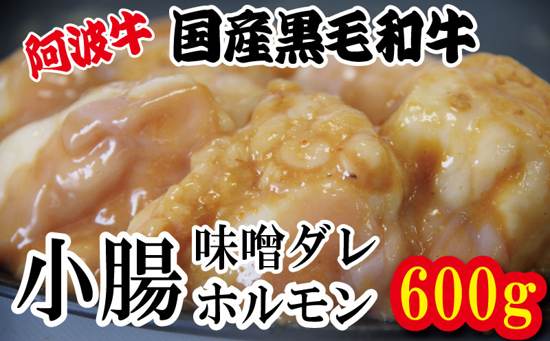 ホルモン 小腸 阿波牛 味噌漬け 200g×3パック 小分け 計600g  国産 牛 黒毛和牛 鍋 焼肉 脂 焼き ホソ もつ 肉 牛肉 BBQ 【北海道・東北・沖縄・離島への配送不可】