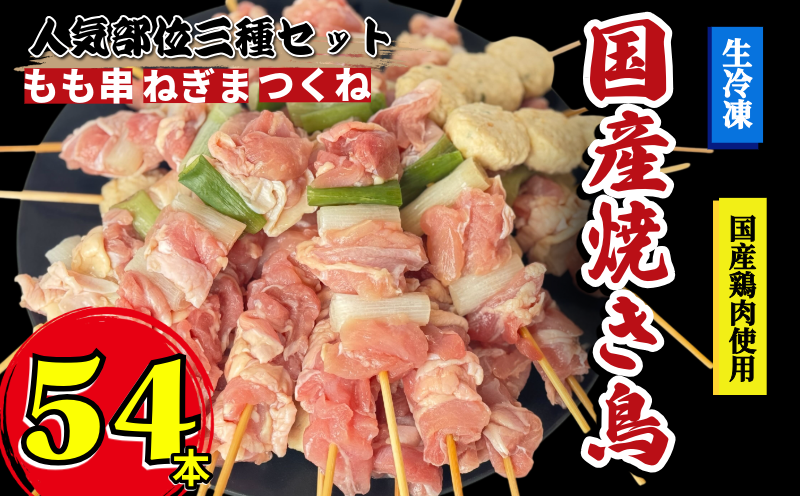 焼き鳥 セット 54本 鶏肉 国産 もも つくね ねぎま 鶏肉 やきとり 串焼 チキン もも肉 つくね おかず 塩焼き スパイス 照り焼き おつまみ ビール BBQ パーティー イベント 小分け 包装 冷凍 徳島 小松島 とり信
