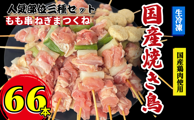 焼き鳥 セット 66本 鶏肉 国産 もも つくね ねぎま 鶏肉 やきとり 串焼 チキン もも肉 つくね おかず 塩焼き スパイス 照り焼き おつまみ ビール BBQ パーティー イベント 小分け 包装 冷凍 徳島 小松島 とり信