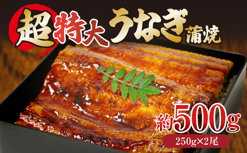 うなぎ 蒲焼き ( 特大 2尾 計500g 250g×2尾 ) ご飯にかける専用タレ付き！ 冷凍 | うなぎ うなぎ うなぎ うなぎ うなぎ うなぎ 鰻 鰻 鰻 鰻 鰻