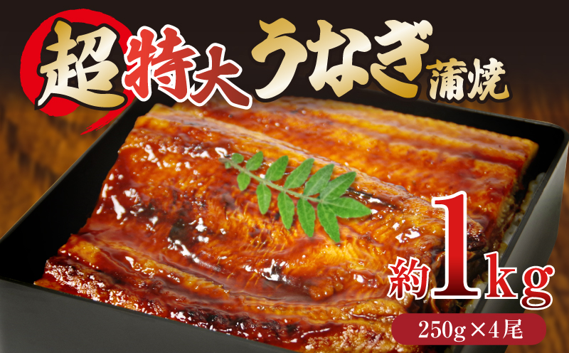 うなぎ 蒲焼き ( 特大 4尾 計1kg 250g×4尾 ) ご飯にかける専用タレ付き！ 冷凍 | うなぎ うなぎ うなぎ うなぎ うなぎ うなぎ 鰻 鰻 鰻 鰻 鰻