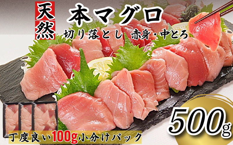 天然本まぐろ 切り落とし 500g(100g×5P） マグロ 本まぐろ 中とろ 赤身 天然 鮪 小分け 冷凍 刺身 漬け 晩酌 寿司 ユッケ マグロ丼 ねぎとろ 海鮮