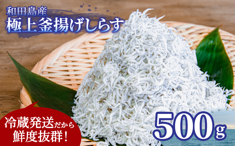 釜揚げ しらす 500g 250g 2袋 冷蔵 国産 徳島県産  小分け しらす ちりめん 魚介類 【北海道･東北・沖縄･離島への配送不可】（ 大人気しらす 人気しらす 絶品しらす 至高しらす 国産しらす 徳島県産しらす しらす ）